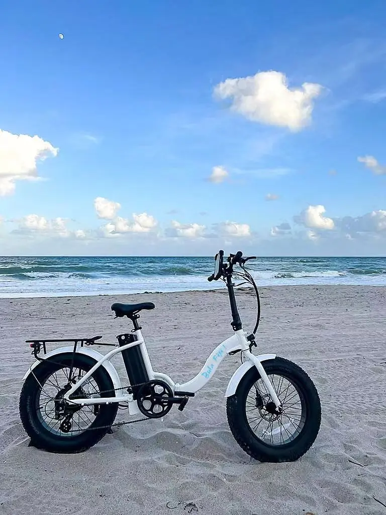 Beach E-bike 