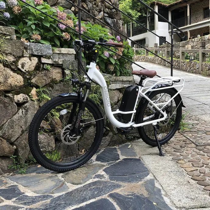 City E-bike 