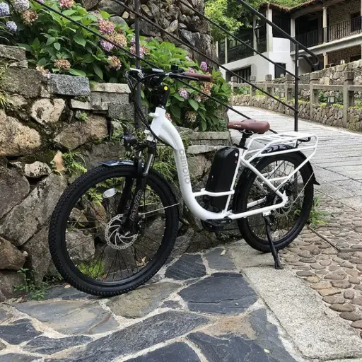 City E-bike 